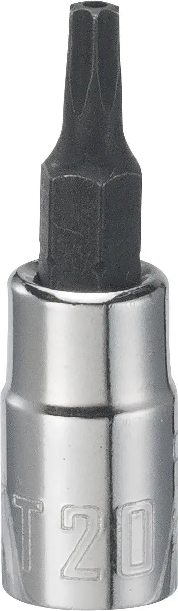View of CRAFTSMAN Sockets: Torx on white background