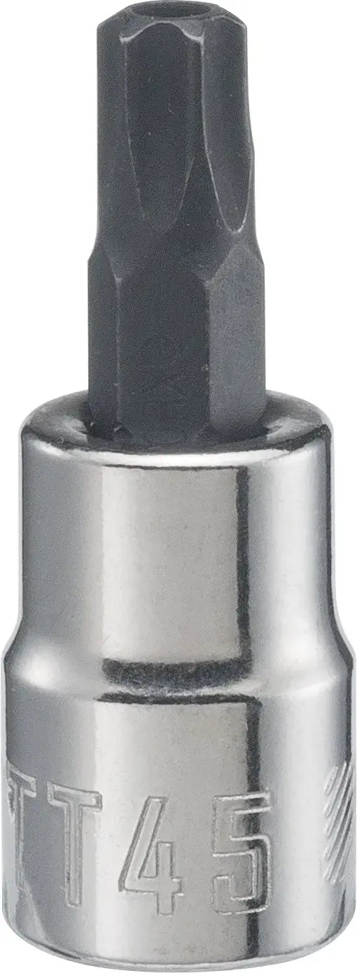 View of CRAFTSMAN Sockets: Torx on white background